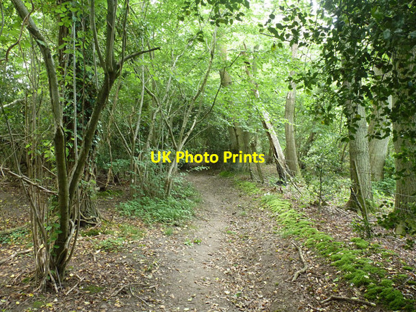 Photo 6"x4" Public footpath 10W Copthorne\/TQ3139 c2014 P1