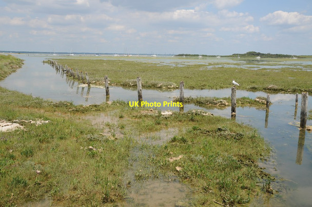 Photo 6"x4" Newtown National Nature Reserve Newtown\/SZ4290 c2014