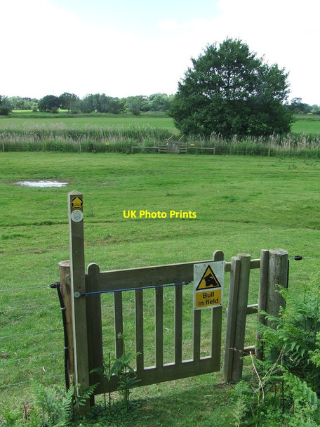 Photo 6"x4" Footpath And Gate Blaxhall c2014