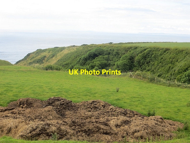 Photo 6"x4" Field, Whitepark Ballintoy c2013