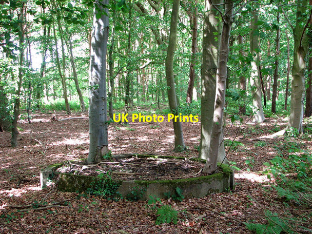 Photo 6"x4" Wood south of The Broadway Frans Green c2014