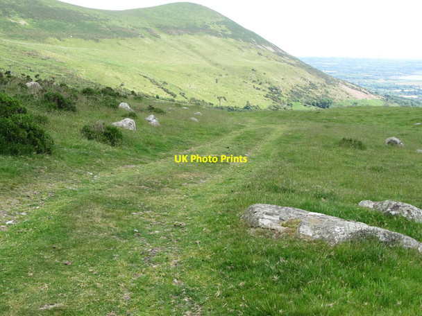 Photo 6"x4" View east across the Ballincurry valley towards the western slopes of the Knockshee Ridge Rostrevor c2014