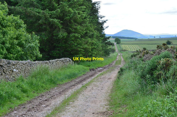 Photo 6"x4" Track on Mosshouses Moor Bluecairn c2014