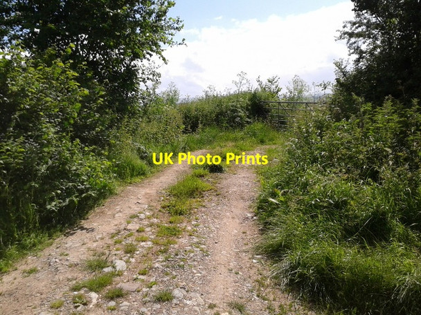 Photo 6"x4" Field entrance Charlton\/ST2926 c2014