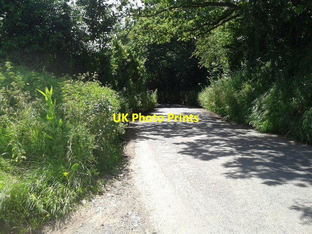 Photo 6"x4" Downhill lane in the sun and shade Charlton\/ST2926 c2014