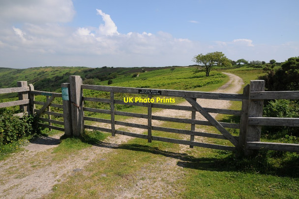 Photo 6"x4" Gate on Luccombe Down Ventnor c2014