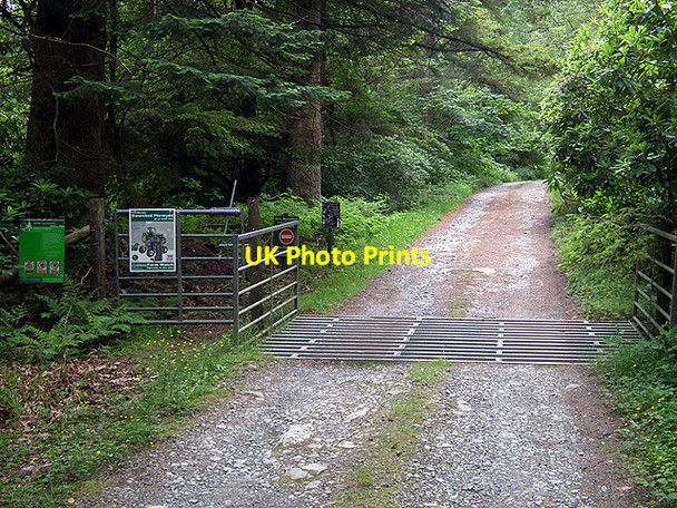 Photo 6"x4" Cattle grid on forestry road near Ystrad Einion mine Coed y Garth c2014