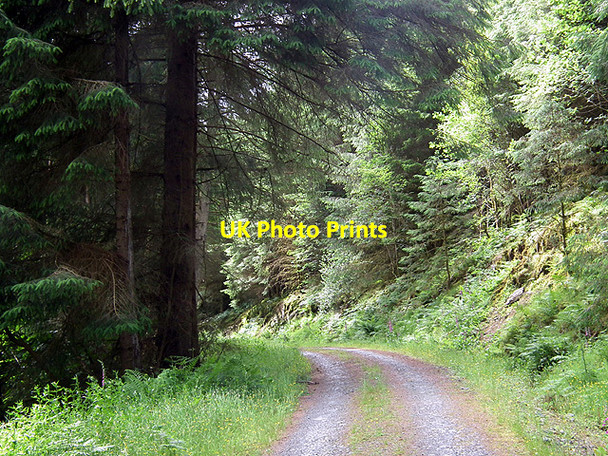 Photo 6"x4" Forestry road above Ystrad Einion Coed y Garth c2014