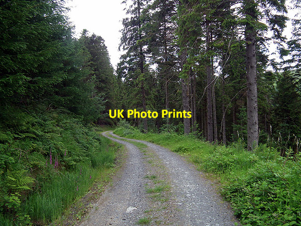 Photo 6"x4" Forestry road above Cwm Einion Coed y Garth c2014