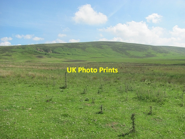 Photo 6"x4" Lammermuir moorland Carfrae\/NT5769 c2014