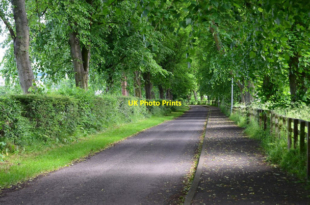 Photo 6"x4" Bridge Road, Gattonside Melrose\/NT5434 c2014