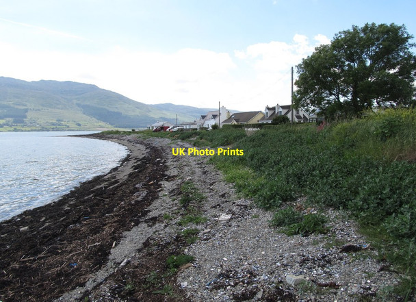 Photo 6"x4" View along the foreshore in the direction of Killowen Point Rostrevor c2014