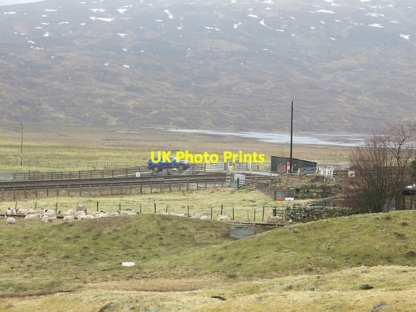 Photo 6"x4" Level crossing, Dalnaspidal General Wade's Military Road\/NN6473 c2014