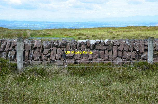Photo 6"x4" Wall construction, Kitchen Moss Silverburn\/NT2060 c2014