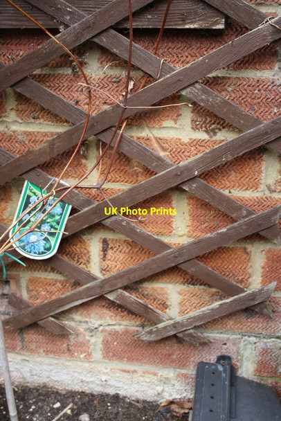 Photo 6"x4" Benchmark behind trellis on side of #56 Hightown Road Banbury\/SP4540 c2014