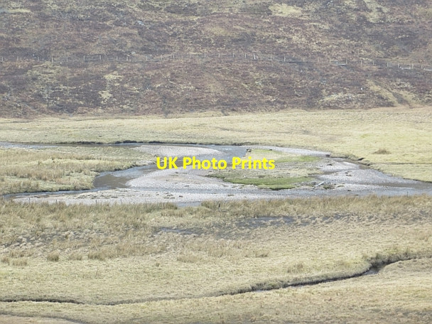 Photo 6"x4" Allt Dubhaig Sow of Athol c2014