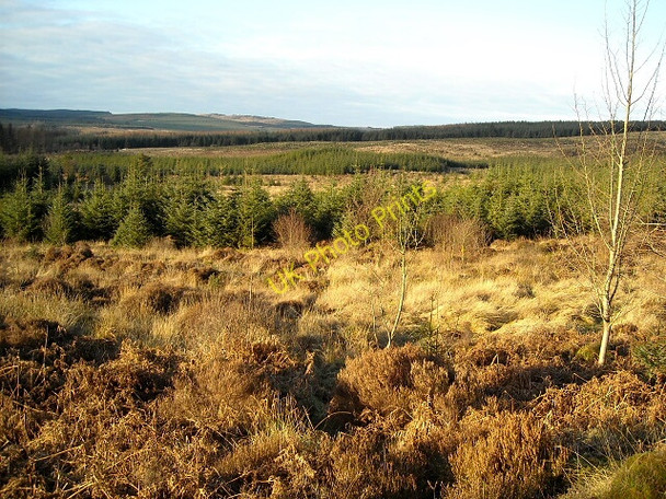 Photo 6"x4" Glentrool Forest Glentrool Village c2009