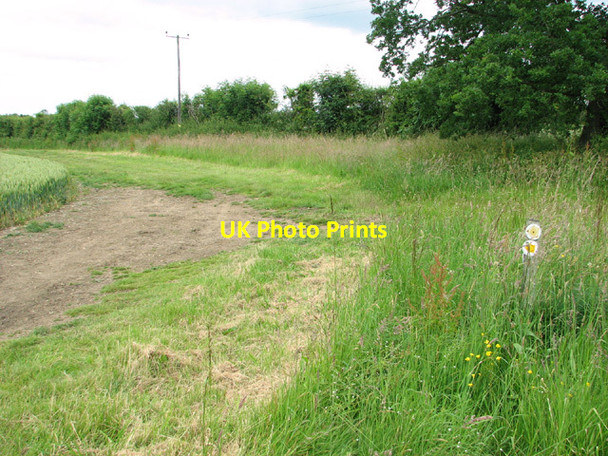 Photo 6"x4" Footpath marker in the high grass North Green\/TG0206 c2014