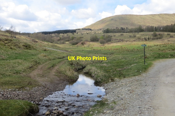 Photo 6"x4" Burn crossing, Glen Artney Auchinner c2015