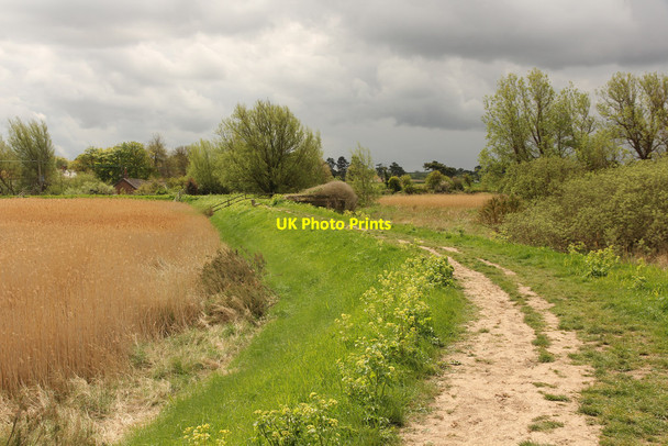 Photo 6"x4" Brancaster Marsh Marsh Side c2015