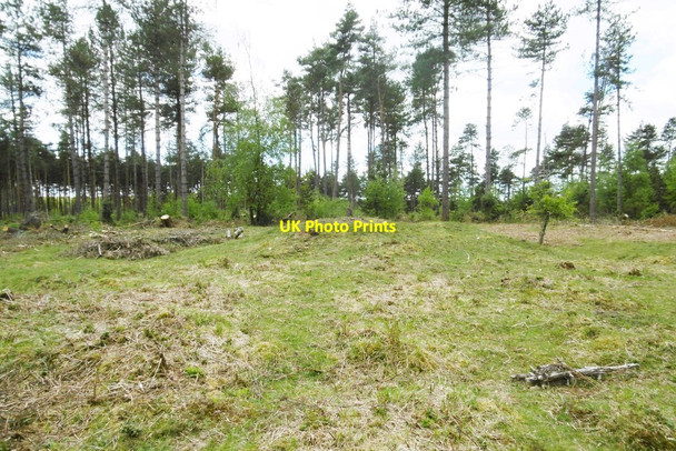Photo 6"x4" Ipley Inclosure, tumulus Pooksgreen c2015