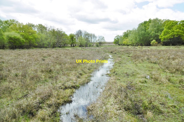 Photo 6"x4" Pottern Ford, ditch Applemore c2015