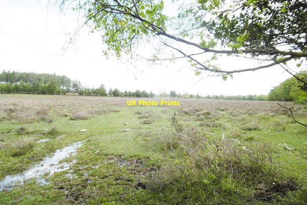 Photo 6"x4" Pottern Ford, heathland Applemore c2015