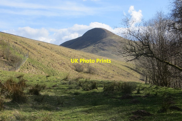 Photo 6"x4" Glen Artney Auchinner c2015