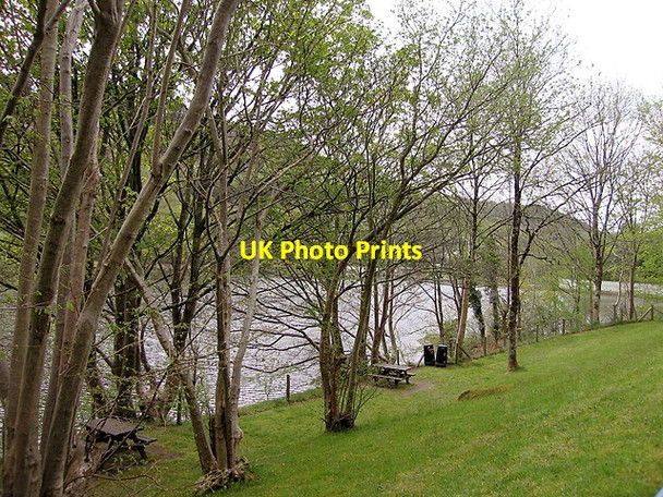 Photo 6"x4" Picnic area by the Cwm Rheidol reservoir Aberffrwd\/SN6878 c2015