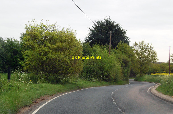 Photo 6"x4" Bendy Road to Felsted Little Dunmow c2015