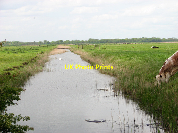 Photo 6"x4" Drainage ditch separating two marsh pastures Fritton\/TG4600 c2015
