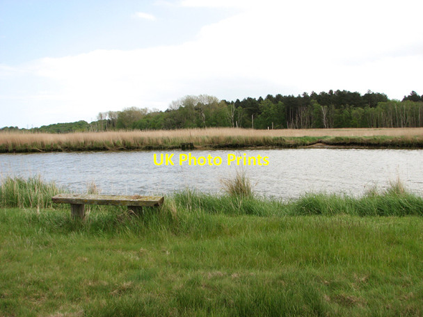 Photo 6"x4" Seat by the River Waveney Fritton\/TG4600 c2015