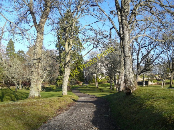 Photo 6"x4" Skibo Castle grounds Clashmore\/NH7489 c2009