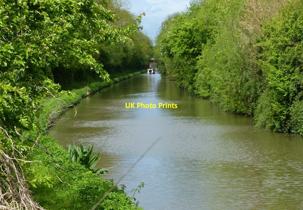 Photo 6"x4" The Oxford Canal near Cathiron Cathiron c2015