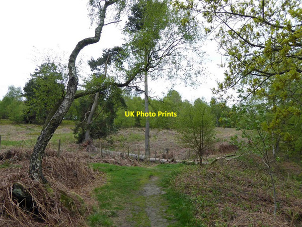 Photo 6"x4" Footpath along Stanton Moor Stanton Lees c2015