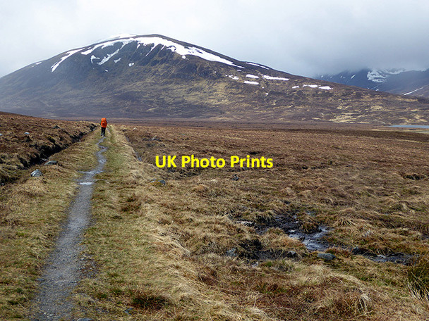 Photo 6"x4" Path across Ben Alder Forest Loch Pattack c2015