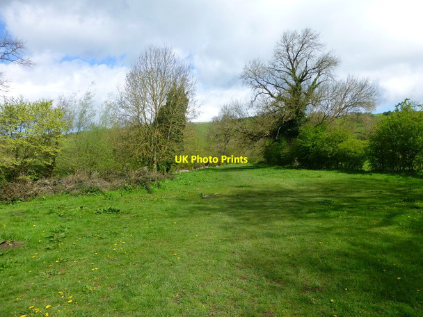 Photo 6"x4" Grassy path alongside the River Manifold at Ilam Ilam c2015