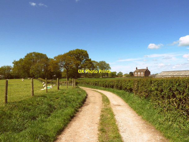 Photo 6"x4" Chisnall Lane, Mossy Lea Mossy Lea c2015