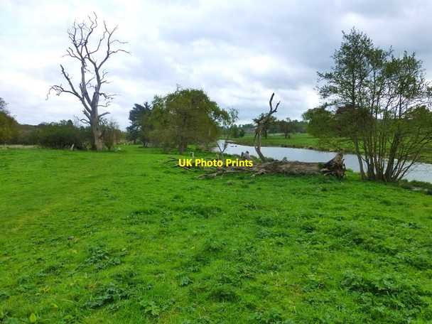 Photo 6"x4" Grassy path alongside the brook at Kedleston estate Kedleston c2015