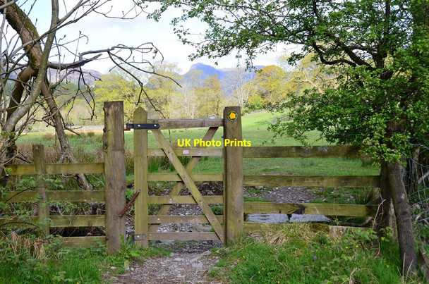 Photo 6"x4" Gate for field path to Elterwater Elterwater c2015