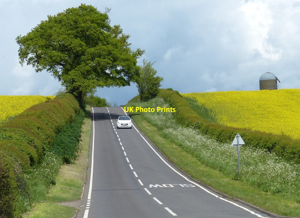 Photo 6"x4" Hillmorton Lane towards Clifton upon Dunsmore Hillmorton c2015