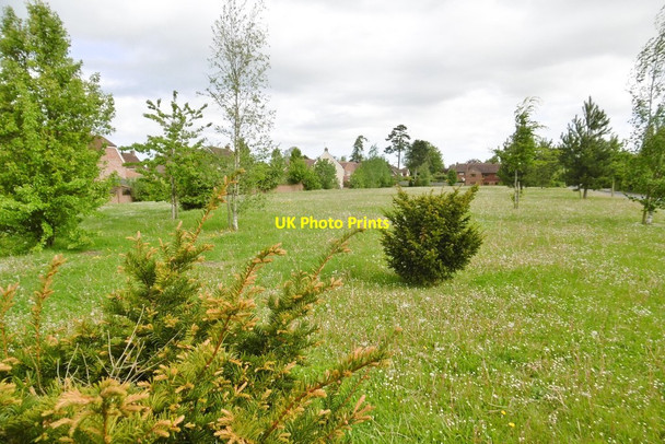 Photo 6"x4" Chieveley, The Green Chieveley c2015