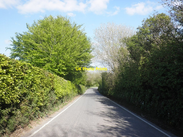 Photo 6"x4" Long Lane Berry Down Cross c2015