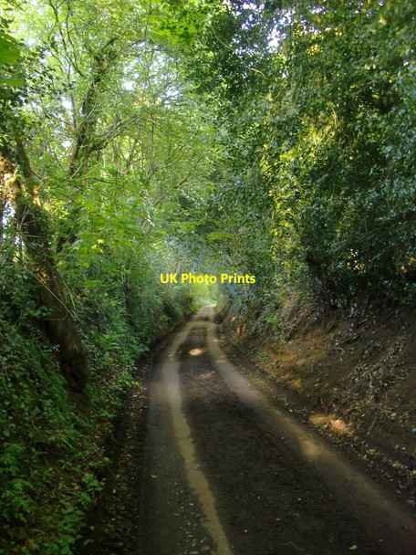 Photo 6"x4" Lockhursthatch Lane Farley Green\/TQ0645 c2015