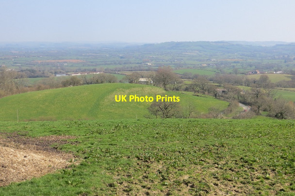 Photo 6"x4" Marshwood Vale Marshwood c2015