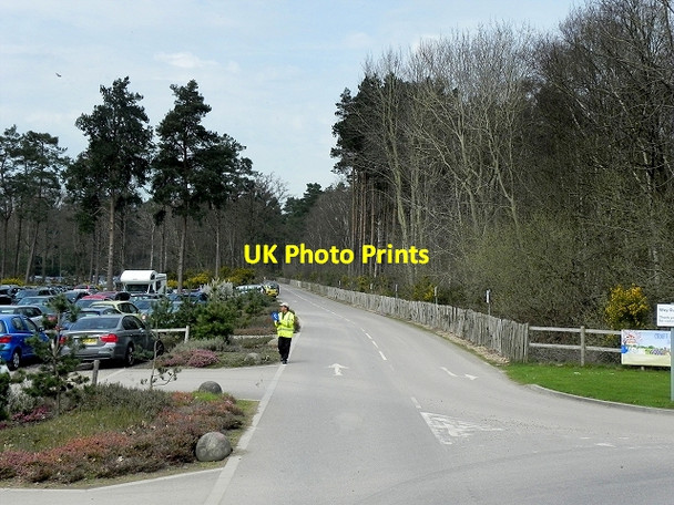 Photo 6"x4" RHS Garden at Wisley, The Car Park Wisley c2015