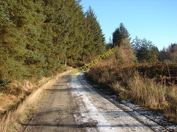 Photo 6"x4" Hafren Forestry Road Tynyrwtra\/SN8885 c2009
