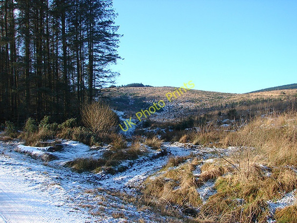Photo 6"x4" Forestry track leading to Drum Maen Tynyrwtra\/SN8885 c2009