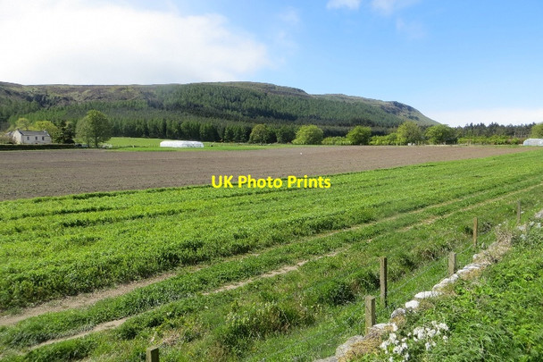 Photo 6"x4" Farmland, Kilgour Strathmiglo c2015