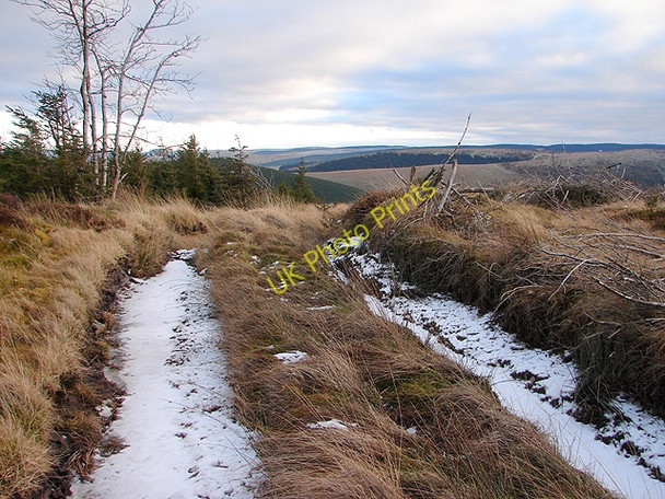 Photo 6"x4" The summit of Drum Maen Tynyrwtra\/SN8885 c2009